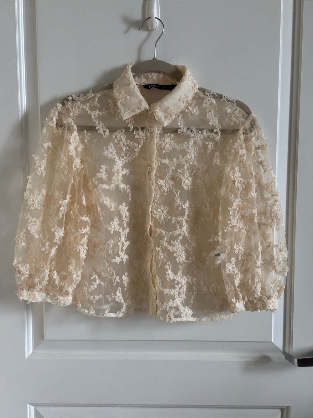 Zara Sheer Top